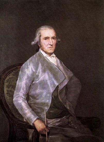 Francisco de goya y Lucientes Portrait of Francisco Bayeu oil painting picture